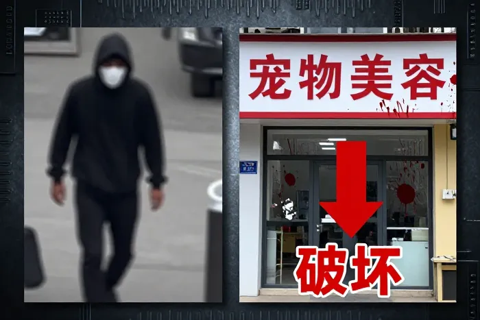 旺角一宗宠物店刑事毁坏案