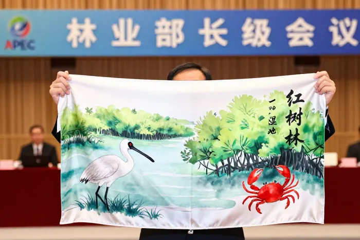 APEC期间深圳发放生态丝巾 深港少年绘湿地
