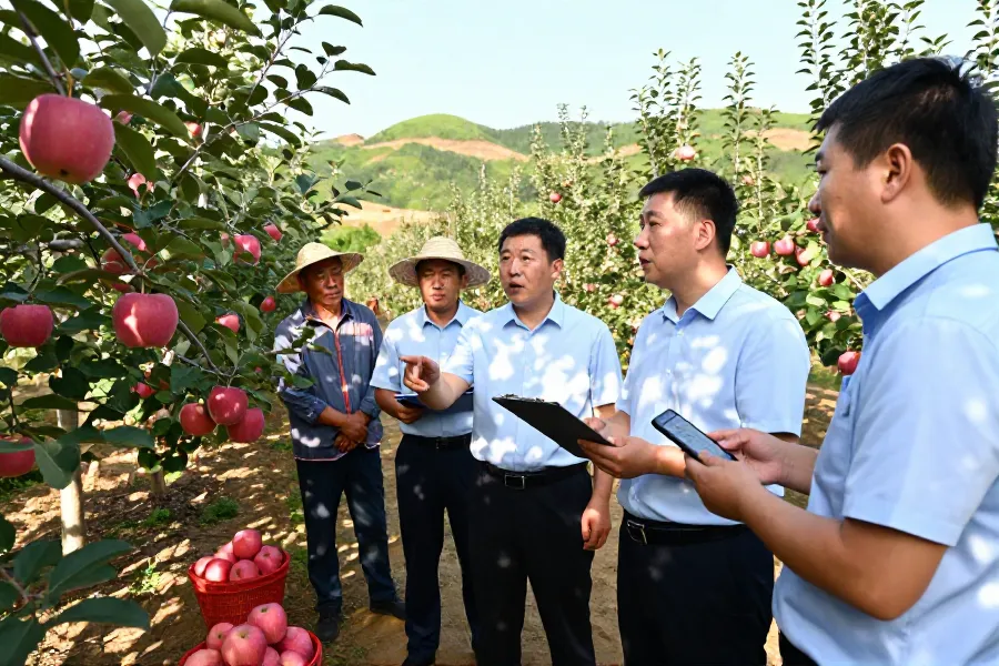 建行基层实践：精准金融助力特色产业