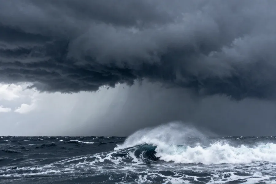 三台风罕见同现：白海豚或吞并鲸鱼，华东需警惕风雨