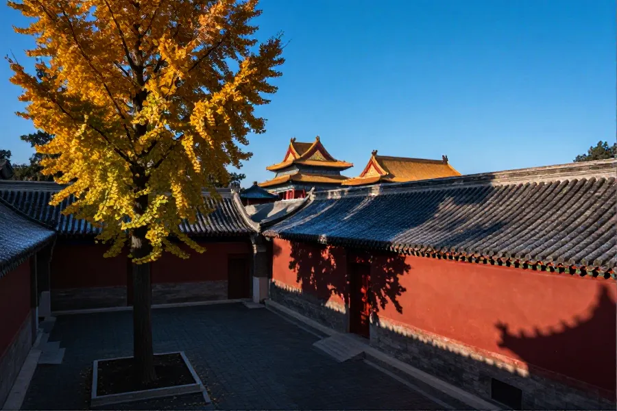 2026年立秋：南北气温走势分化，北方昼夜温差拉大