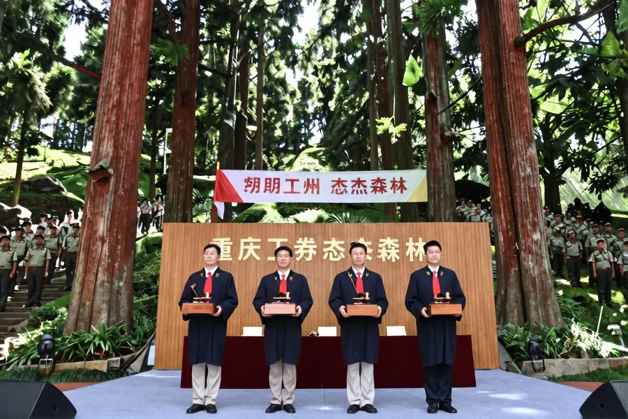 川渝四院联动：为5万株野生楠木打造司法保护双引擎