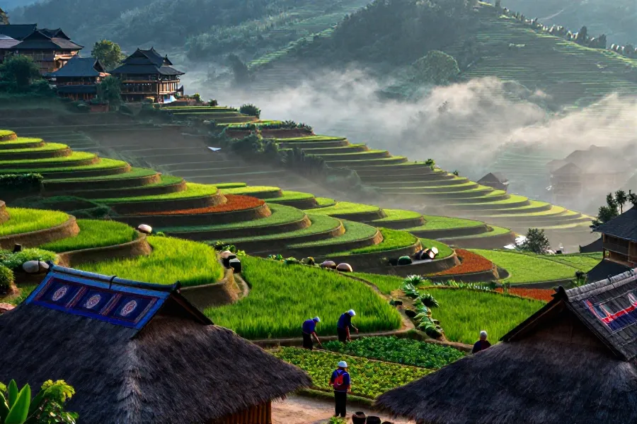 云南腾冲佤族古村：农旅融合激活乡村经济