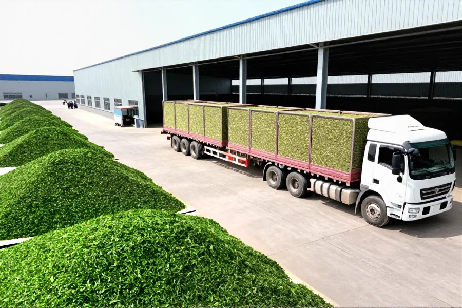数据解码：陕南茶蚕借中亚通道实现出口倍增，物流降本30%成关键