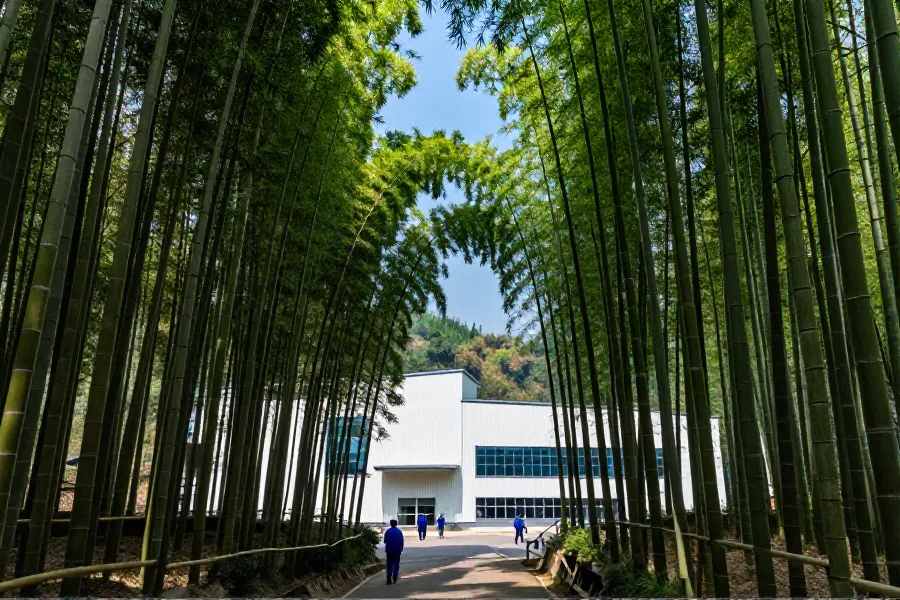 长江生态新样本：重庆忠县竹产业年产值破8亿，赋能绿色转型
