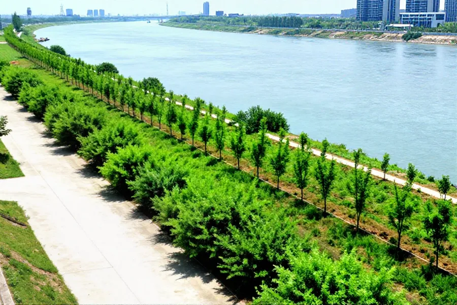 荆江十年蝶变：从工业围江到生态共生的荆州样本