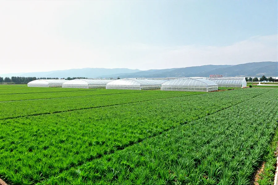 从区域繁育到国家级高地：马尔康夏繁基地的转型密码