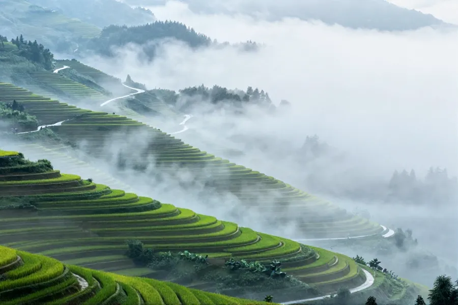 贵州加榜梯田晨雾景观初现
