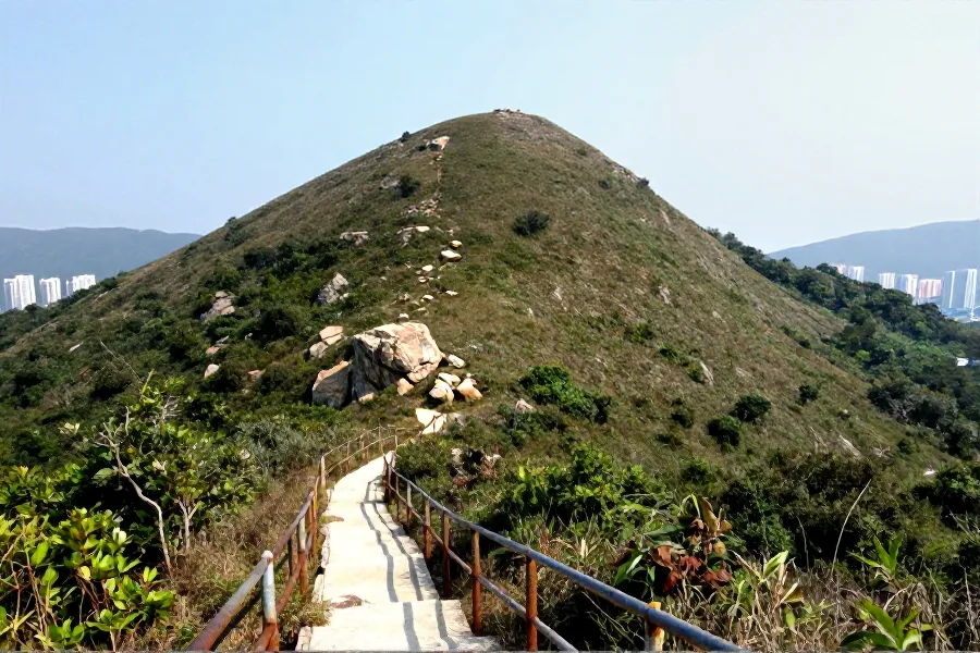 窝仔山整治行动启动：清违建、移神位、升级康体设施