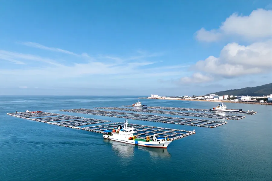 广东海水养殖上半年增5.37% 种业创新与金融赋能双轮驱动