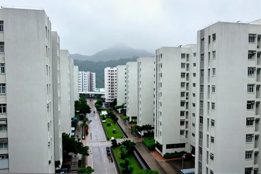 荔蚊患指数领跑 食环署多措并防治蚊
