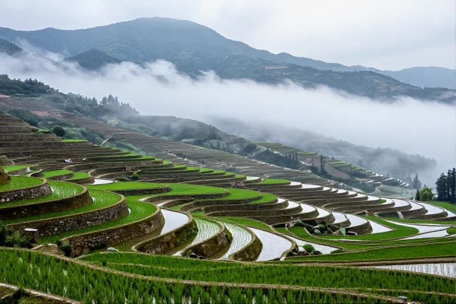 汉阴凤堰梯田：清代水利智慧入选世界遗产名录