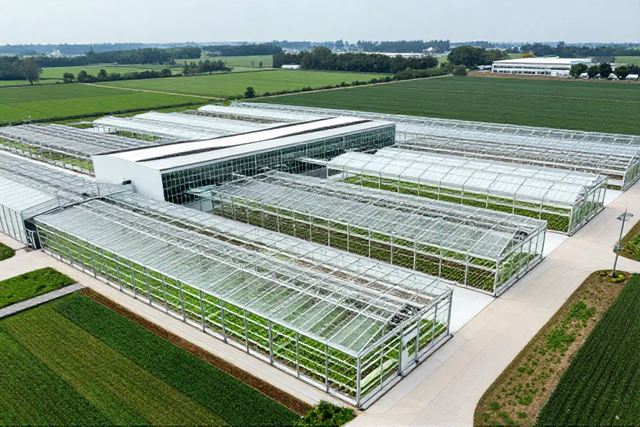 中国种业创新：实质性派生品种制度落地