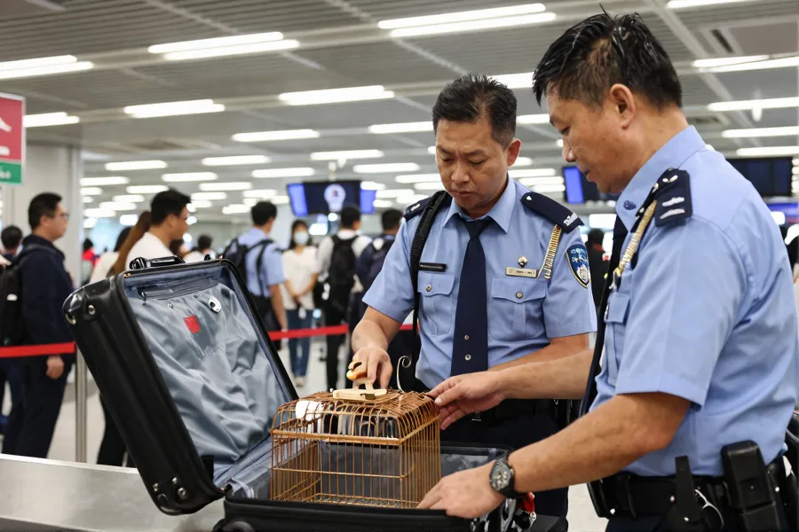 两内地客涉非法携活体动物入境被截