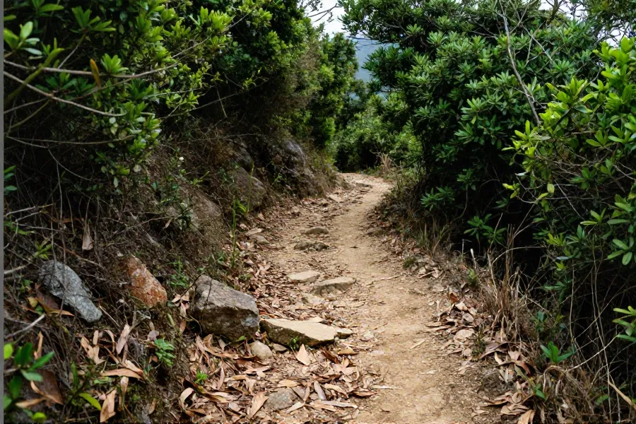 火炭行山失蹤三日 七旬翁遺體今晨尋獲