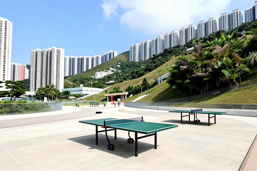 窝仔山违建清拆引热议：议员盼配套升级促社区双赢