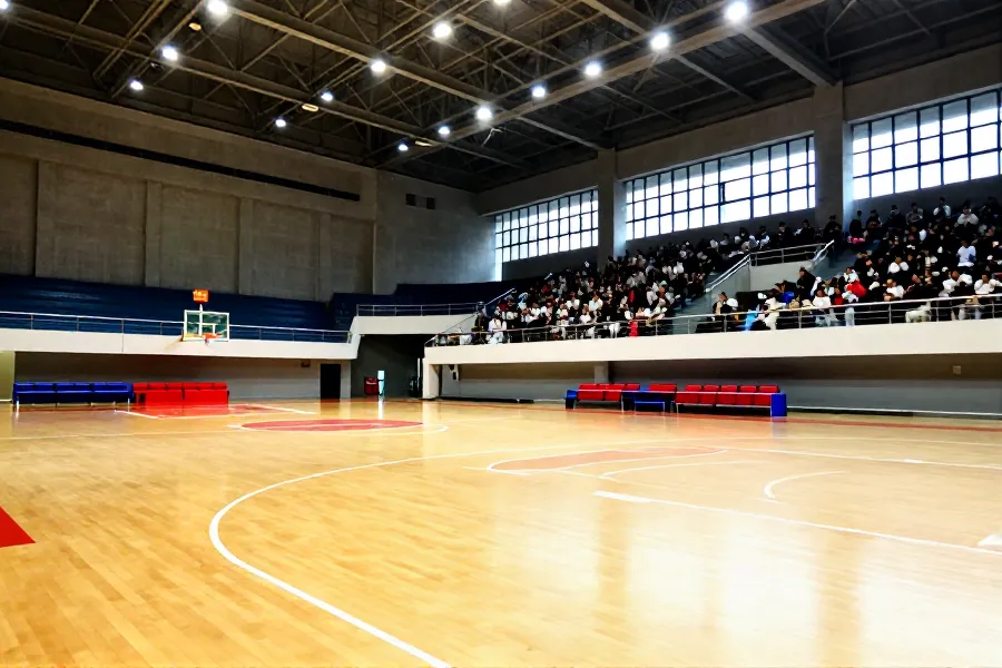 粤运会手球甲组落幕：广州男队、深圳女队问鼎